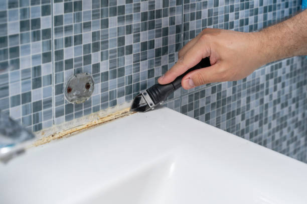 Best Home Mold Removal  in Truckee, CA