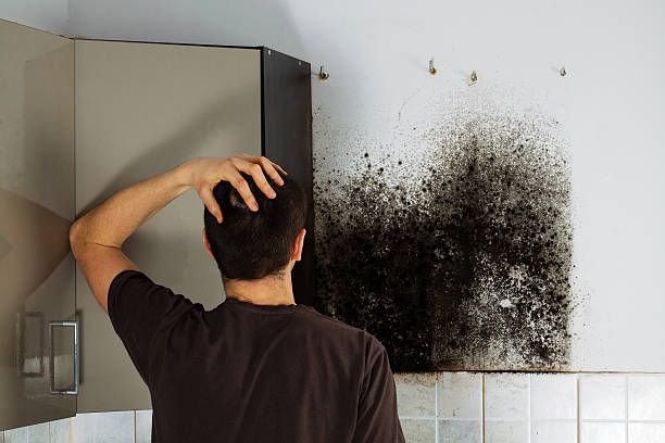 Best Certified Mold Removal  in Truckee, CA